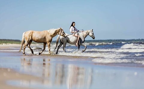 3 Hour Horse Swimming Adventure in Hurghada