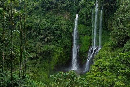 Explore the Hidden Sekumpul Waterfalls and Traditional Balinese Village