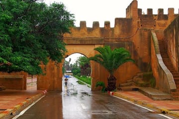 Taroudant and Tiout Oasis Day Trip from Agadir