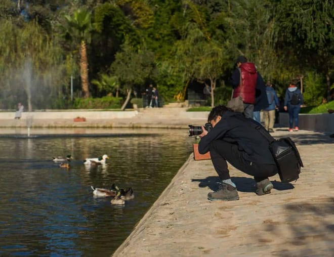 ½ Day Marrakech Photo Tour | Private & Luxury 6