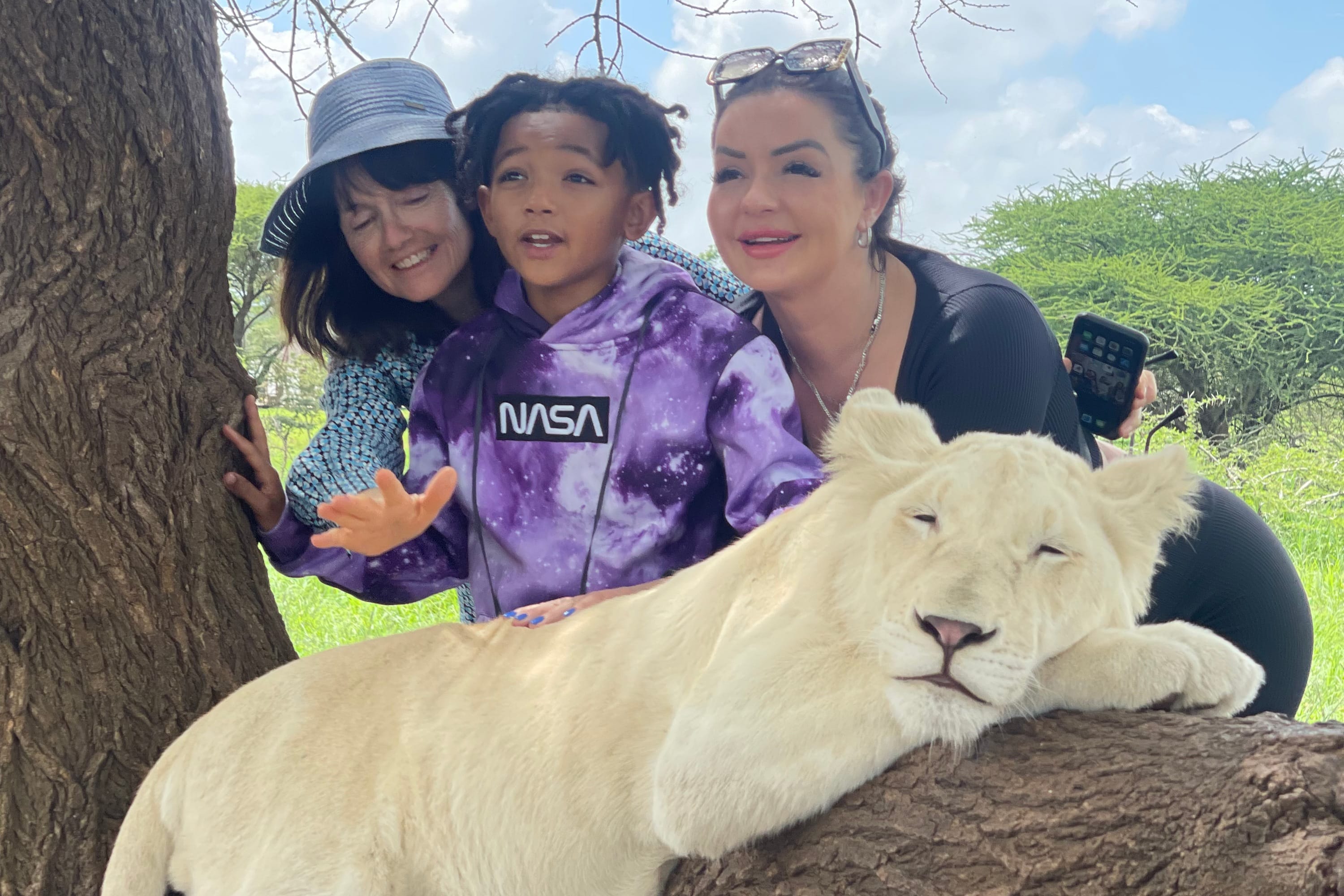 A group of travelers enjoying a safe and private interaction with a white lion.