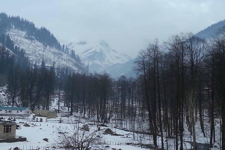 Jaipur Heritage walk Tour