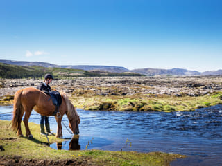 Lava Tour - Horseback Riding through the Lava Fields, photo 6