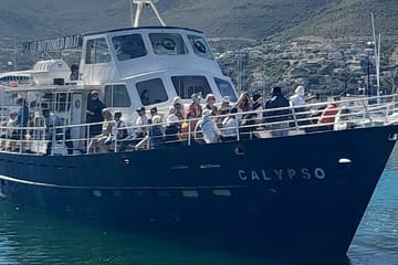Table Mountain and Cape Peninsula Tour from Cape Town