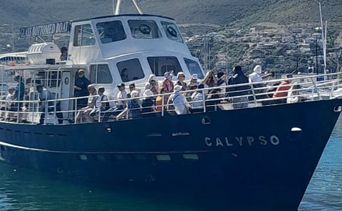 Table Mountain and Cape Peninsula Tour from Cape Town