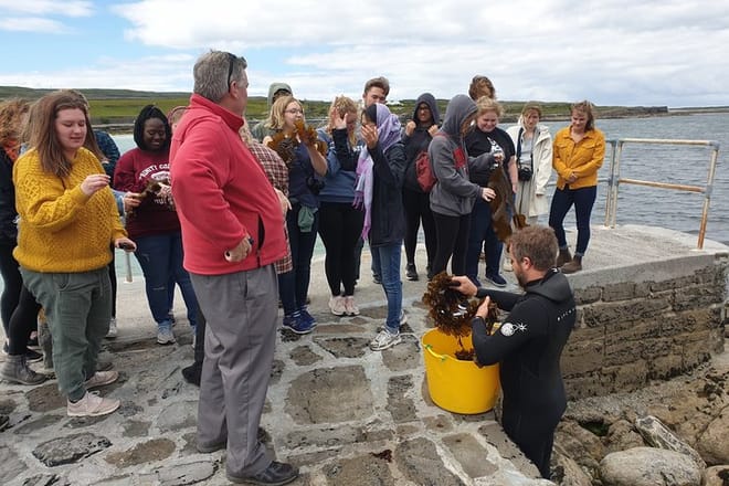 Food tasting and cultural tour Inishmore, Aran Islands. Private guided 6