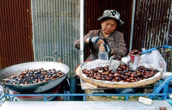 Myanmar Border-Crossing & Mae Khong River Cruise Tour