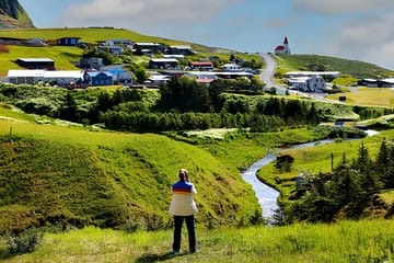 Private South Coast Adventure Tour from Reykjavik
