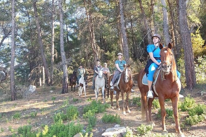  Alanya Horseback Riding in the Taurus Mountains with Transfer  7