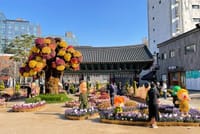 Gyeongbok Palace , Fullday Highlight Seoul  City Tour 6