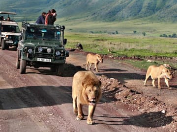 Tanzania 6-Day Tented Camping Safari in Iconic National Parks