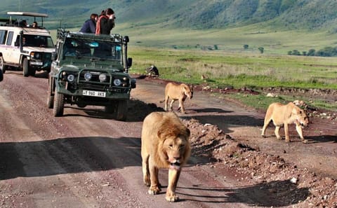 Tanzania 6-Day Tented Camping Safari in Iconic National Parks