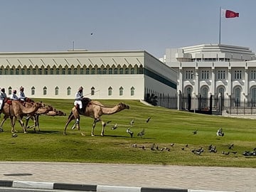 Walking Tour: Discover Souq Waqif