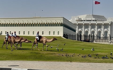 Walking Tour: Discover Souq Waqif