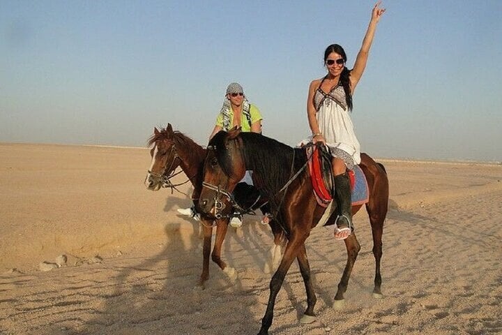 Discover Forests & Rivers with 2 Hours Horseback Riding – Agadir