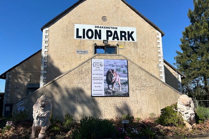 Giraffe Encounter and Lion Park with Wine Tasting in Stellenbosch