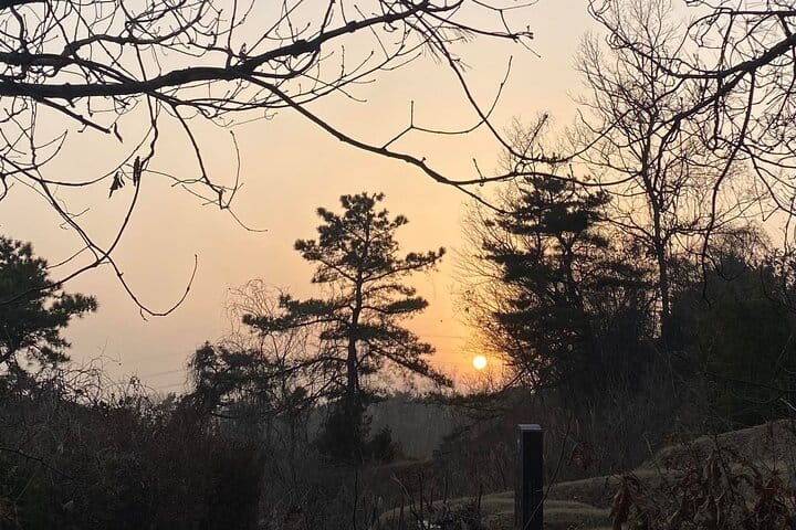 A Walk Among the Graves: Korean Cemetery and Folklore Trek