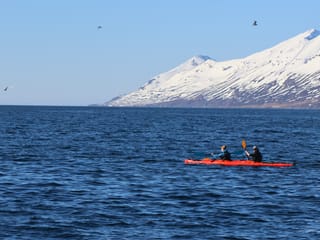 Guided Kayak Tour in Árskógssandur: Explore Coastline & Wildlife, photo 6