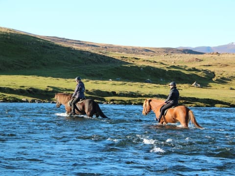 River Delta, photo 3