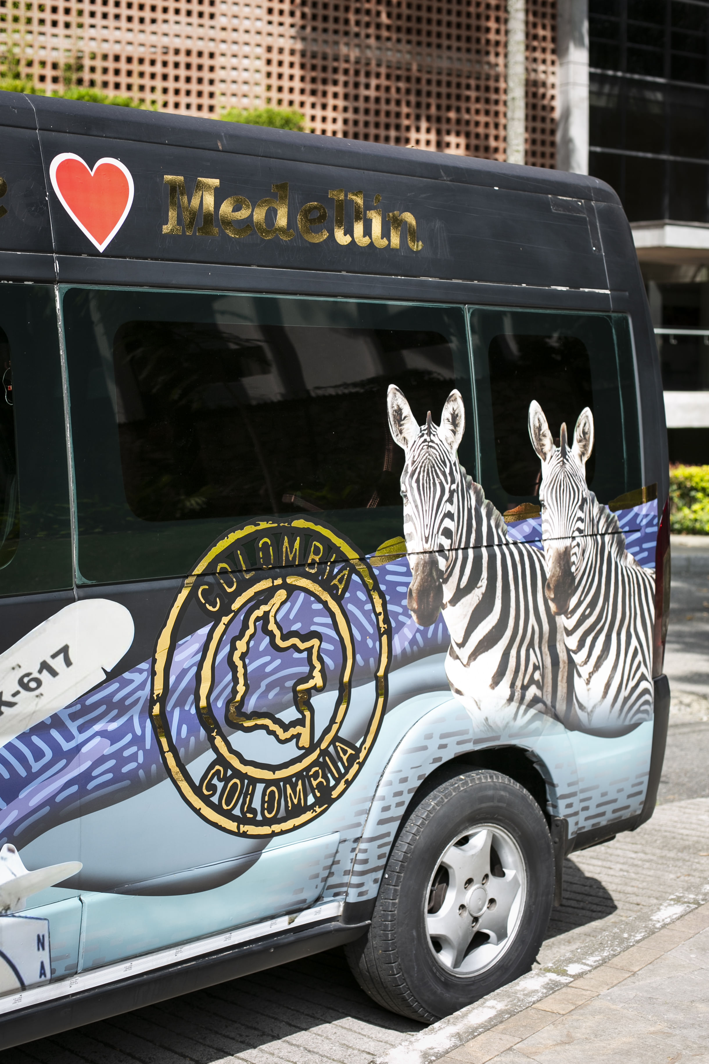 Auto Con diseño de Zebras