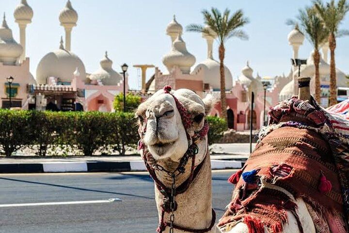 Rehberli Şehir Turu, Alışveriş ve Şarm El-Şeyh'te Gizli Yerler