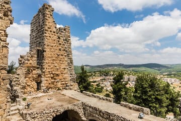 Private Cultural Tour of Jerash and Ajloun from Amman