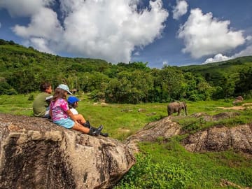 2 Hours - Phuket Ethical Elephant Nature Park Visit