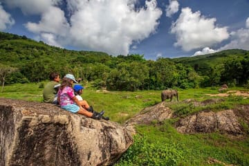 Phuket: Walk and Feed Ethical Elephant Nature Park Visit