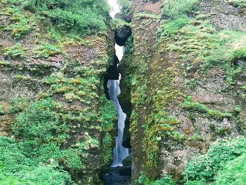 Private South Coast tour , photo 4