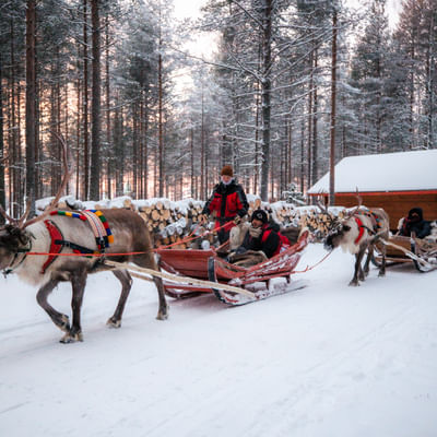 Sentiero del Bosco – Un’avventura in slitta con le renne di 800 metri nella Foresta di Babbo Natale, a Rovaniemi