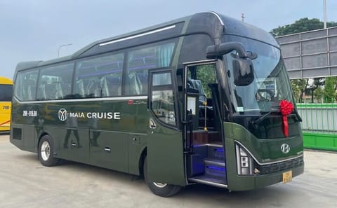 Luxury 5 Star Day Cruise Local Cuisine Jacuzzi and Sunset Party