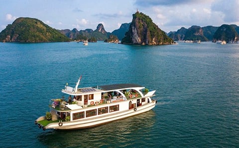 5-Day Guided Tour in Hanoi, Halong Bay, and Ninh Binh