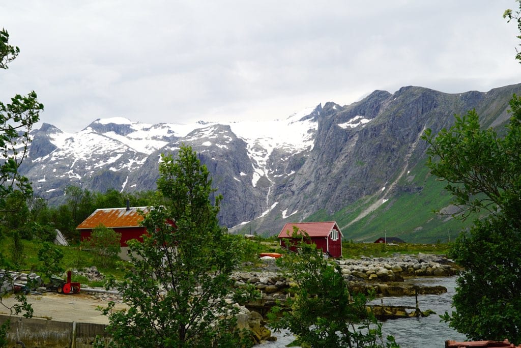 Fjord Sightseeing - TeslaX Electric car 5
