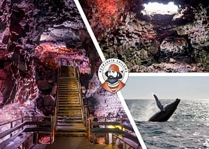 Whale Watching & Lava Tunnel with transfer from Reykjavik
