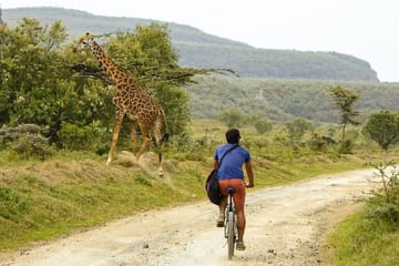 6-Day 4x4 Safari Tour in Kenya's National Parks