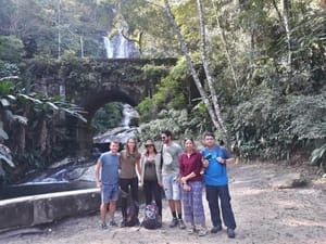 Tijuca Rain Forest with Gigóia Island by boat - Pantanal Carioca