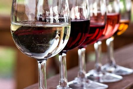 Private Wine Tasting Experience in Amman: Discover Jordan’s Finest Wines