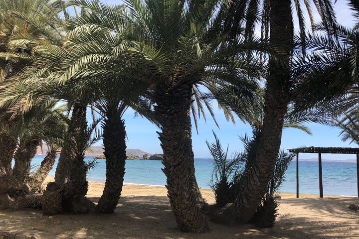 VIP Luxury Private Tour – Full Day – 4×4 Excursion with LandRover