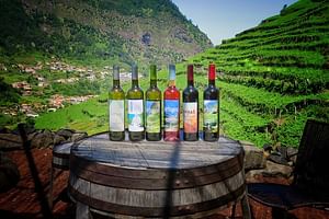 Wine & Cabo Girão Jeep Safari : Unveiling Madeira's Treasures