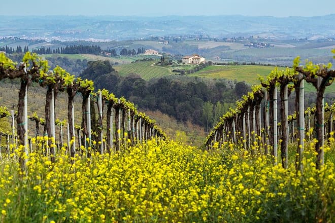 Discover the Charm of the Prosecco Hills from Venice