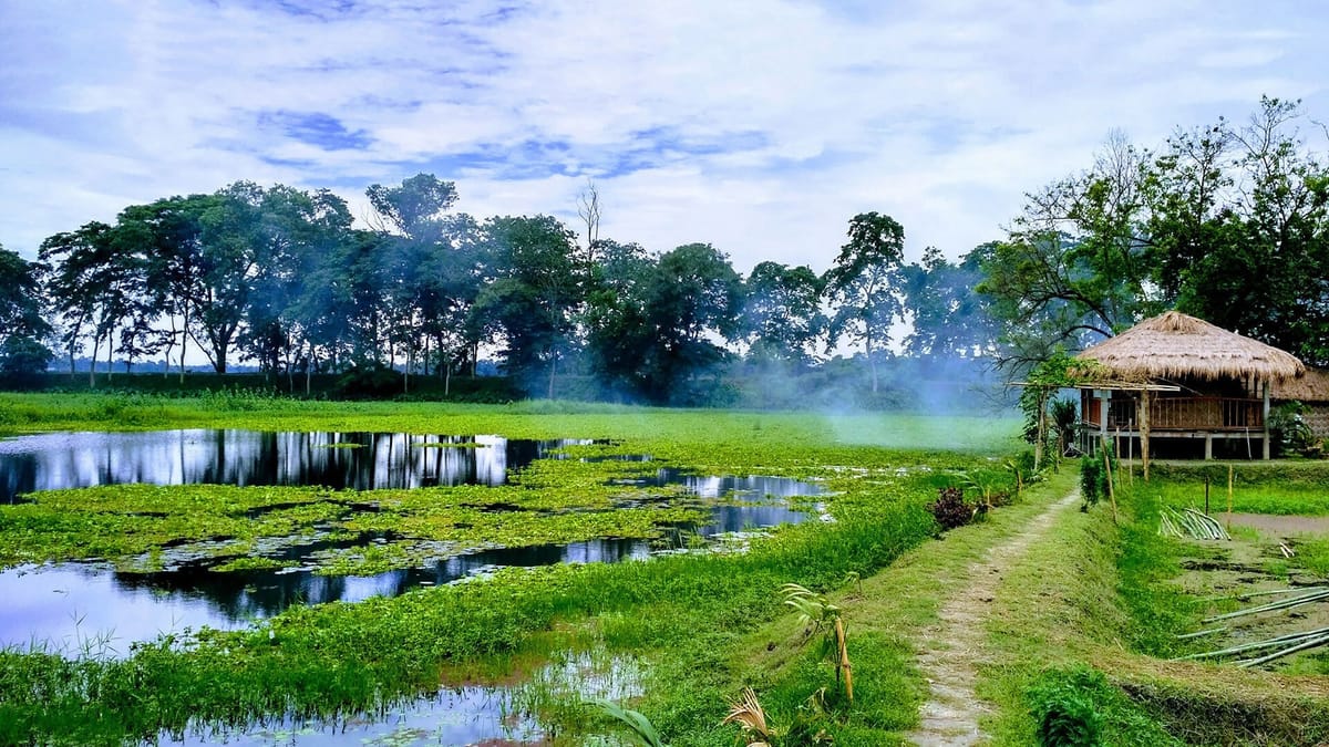 Assam Adventure: From National Parks to River Islands