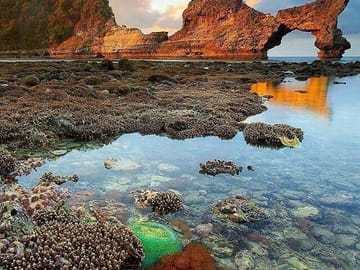 Cycling Day Trip to Nusa Penida from Kintamani and Ubud