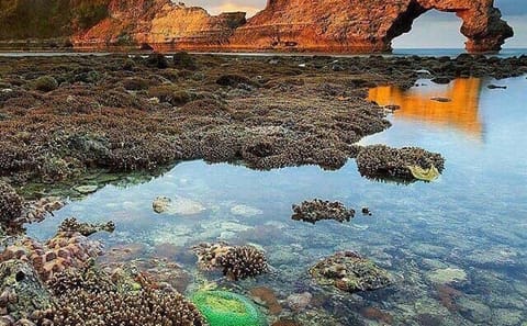 Cycling Day Trip to Nusa Penida from Kintamani and Ubud