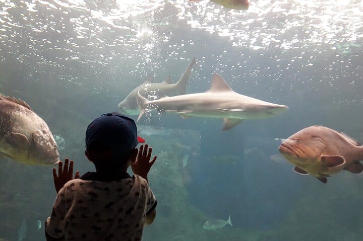Family Day from Chania: CRETAquarium, Dinosauria Park, Heraklion  6