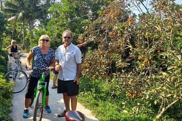 Mekong Delta Day Tour: Explore Cai Be and Vinh Long