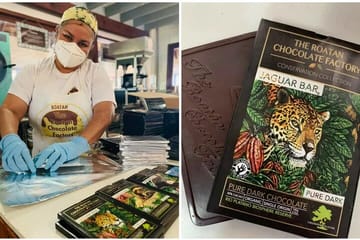 SHORE EXCURSION Zip Line, sloth park,City tour, Roatan sign & chocolate Factory