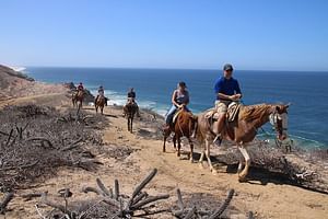 Horseback Riding Experience in Rancho San Cristobal
