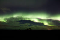 Northern Lights and Stargazing 8