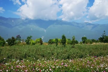 8-Day Yunnan Sightseeing Tour: Kunming, Dali, Lijiang, Shangri-La