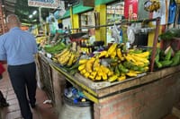 Cali's Colorful Markets: Private Tour of Colombian Fruits 5